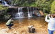 Ultimate Blue Mountains Waterfalls, Walks & Sunset PRIVATE Tour - thumb 0