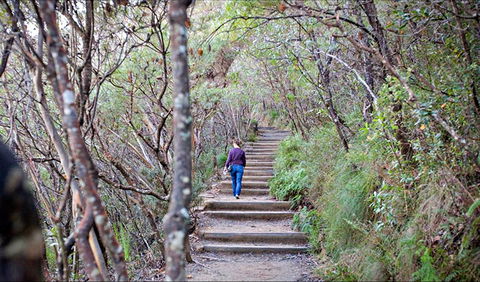 Princes Rock Walking Track - Grafton Accommodation 0