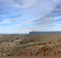 Sundown Nature Trail - Grafton Accommodation