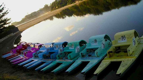 Terrigal Paddle Boats And Stand Up Paddle Boards - Grafton Accommodation 0