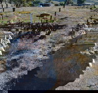 Wangaraleednie Monument  Ruins - Grafton Accommodation