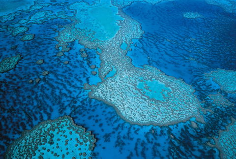 Whitsunday Region - Grafton Accommodation 2