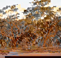 Yawura Yarun - Grafton Accommodation