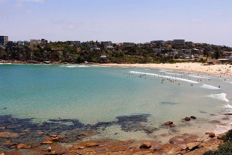 Half Day Manly Beach And More - Grafton Accommodation 11