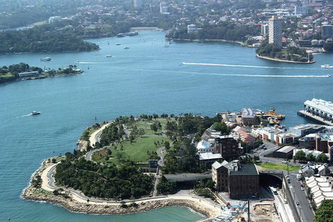 Half Day Manly Beach And More - Grafton Accommodation 8