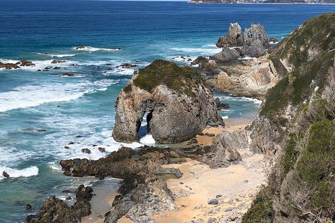 Narooma And Tilba Valley Private Tour - Grafton Accommodation 8