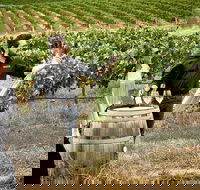 VIP Soil-To-Cellar Experience - Grafton Accommodation
