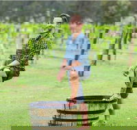 Hunter Valley Grape Stomping - Grafton Accommodation