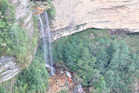 All-Inclusive Blue Mountains Tour In A Luxury Mercedes Sprinter - Grafton Accommodation 9