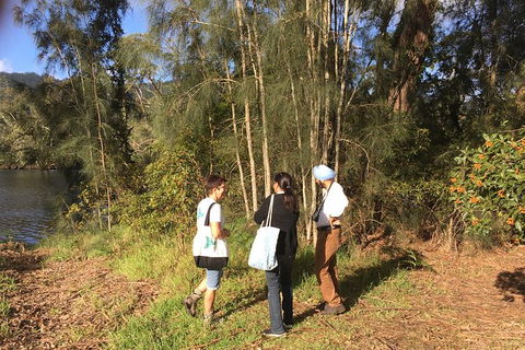 Fishermans Paradise Eco-walk - Grafton Accommodation 1