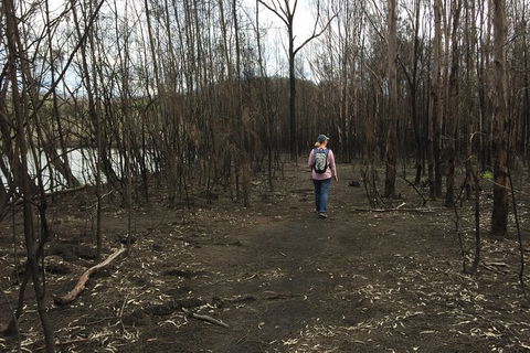 Fishermans Paradise Eco-walk - Grafton Accommodation 5