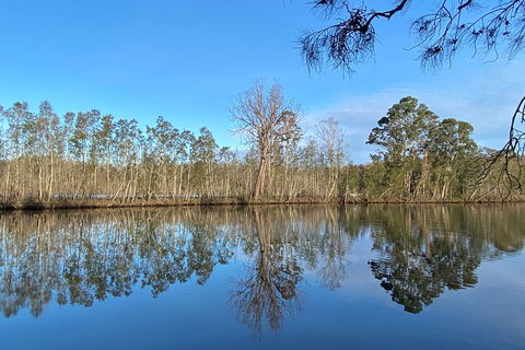 Fishermans Paradise Eco-walk - Grafton Accommodation 4