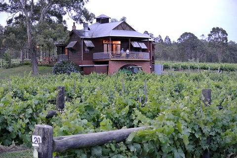 Six Hour - Plan Your Own Wine And Cheese Tour Hunter Valley - Grafton Accommodation 11