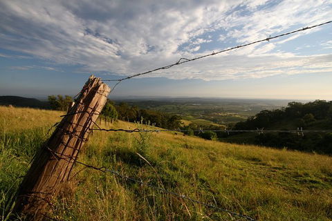 Private Full-Day Wine Tour In Hunter Valley - Grafton Accommodation 3