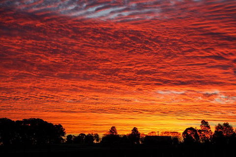 Private Full-Day Wine Tour In Hunter Valley - Grafton Accommodation 0