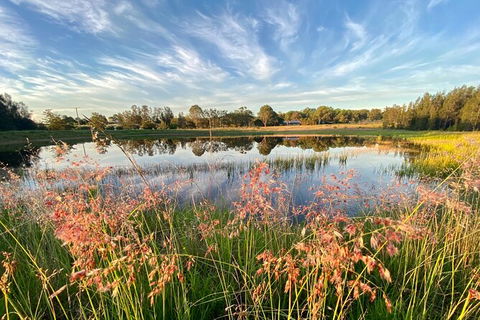 Private Full-Day Wine Tour In Hunter Valley - Grafton Accommodation 5