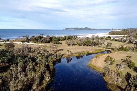 Coffee Farm Tour And Workshop, Byron Bay Hinterland - Grafton Accommodation 3