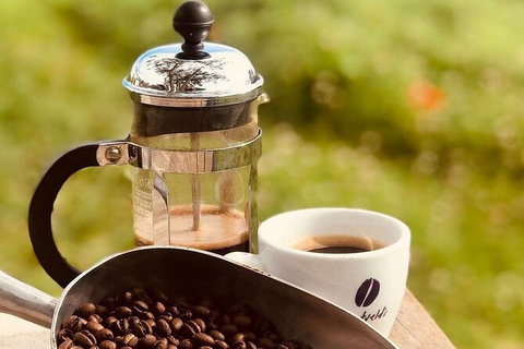 Coffee Farm Tour And Workshop, Byron Bay Hinterland - Grafton Accommodation 0