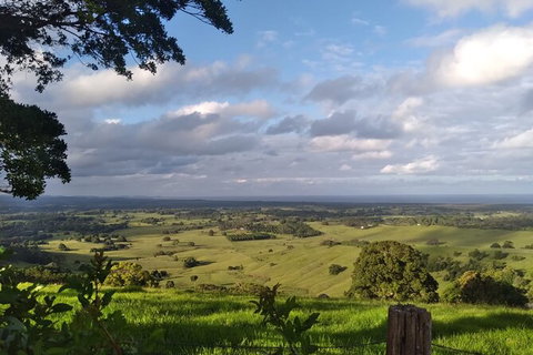 Coffee Farm Tour And Workshop, Byron Bay Hinterland - Grafton Accommodation 4