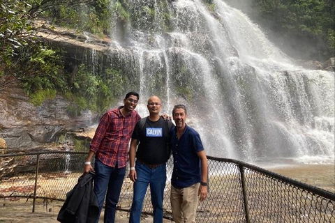 Blue Mountains Highlights & Wildlife Park - Grafton Accommodation 4