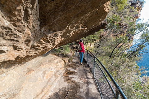 Blue Mountains Highlights & Wildlife Park - Grafton Accommodation 0