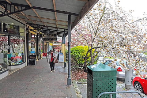 Blue Mountains Highlights & Wildlife Park - Grafton Accommodation 2