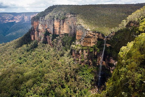 Blue Mountains Highlights & Wildlife Park - Grafton Accommodation 9