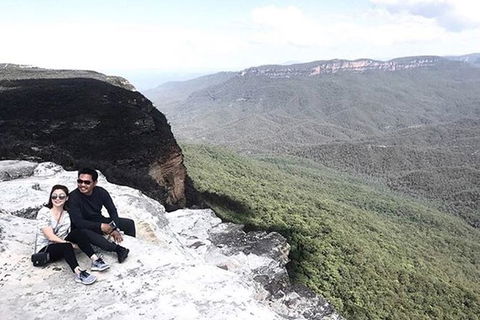 Blue Mountains Highlights & Wildlife Park - Grafton Accommodation 5