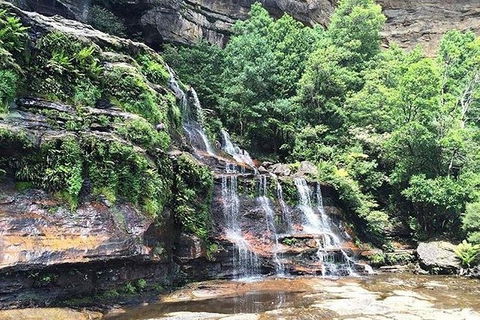Blue Mountains Highlights & Wildlife Park - Grafton Accommodation 8