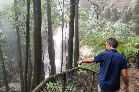 Blue Mountains Highlights, Wildlife Park And Scenic World Full Day Private Tour - Grafton Accommodation 6