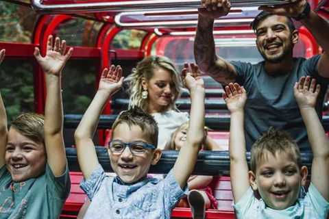 Blue Mountains Highlights, Wildlife Park And Scenic World Full Day Private Tour - Grafton Accommodation 5