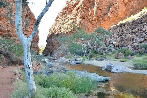 Alice Springs, Uluru Ayers Rock & Kings Canyon 8 Days Touring Package - Grafton Accommodation 2