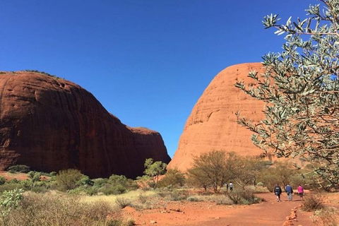 5-Hour Kata Tjuta Sunrise Tour From Ayers Rock With Breakfast - Grafton Accommodation 2
