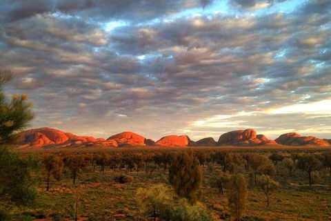 5-Hour Kata Tjuta Sunrise Tour From Ayers Rock With Breakfast - Grafton Accommodation 0