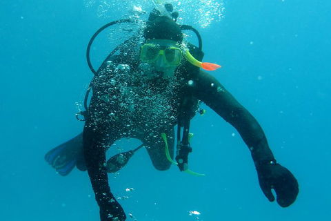 Seastar Luxury Outer Great Barrier Reef Island And Reef Tour From Cairns - Grafton Accommodation 1