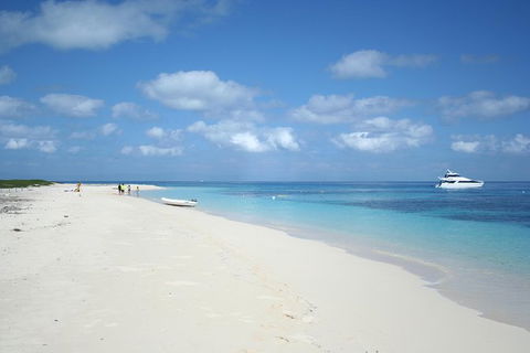 Seastar Luxury Outer Great Barrier Reef Island And Reef Tour From Cairns - Grafton Accommodation 9