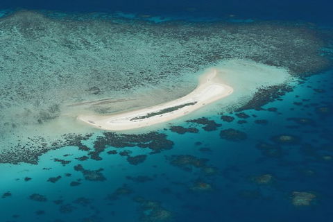 Seastar Luxury Outer Great Barrier Reef Island And Reef Tour From Cairns - Grafton Accommodation 5
