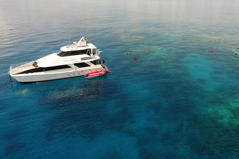 Seastar Luxury Outer Great Barrier Reef Island And Reef Tour From Cairns - Grafton Accommodation 4