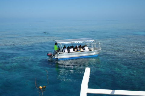 Seastar Luxury Outer Great Barrier Reef Island And Reef Tour From Cairns - Grafton Accommodation 3