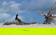 Seastar Luxury Outer Great Barrier Reef Island And Reef Tour From Cairns - thumb 10