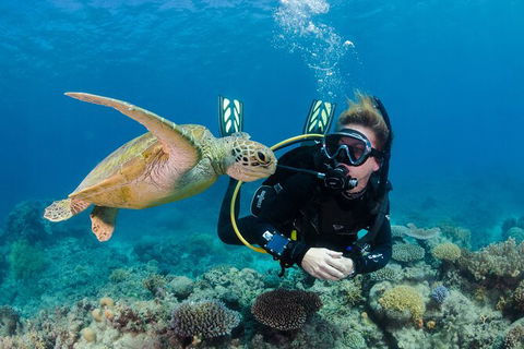 Silverswift Outer Great Barrier Reef Dive And Snorkel Cruise From Cairns - Grafton Accommodation 1