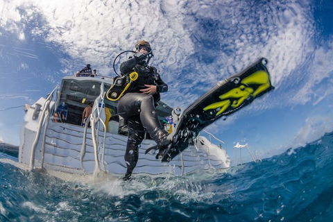 Silverswift Outer Great Barrier Reef Dive And Snorkel Cruise From Cairns - Grafton Accommodation 6