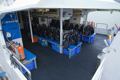 Silverswift Outer Great Barrier Reef Dive And Snorkel Cruise From Cairns - Grafton Accommodation 5