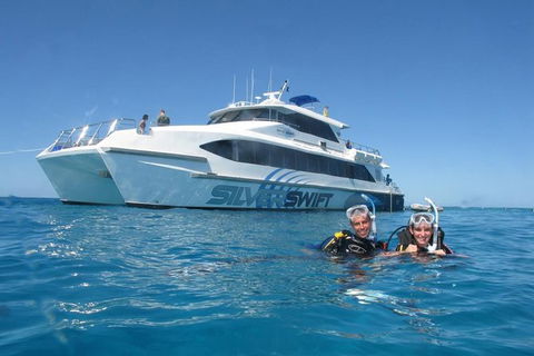 Silverswift Outer Great Barrier Reef Dive And Snorkel Cruise From Cairns - Grafton Accommodation 0