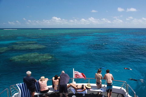 Silverswift Outer Great Barrier Reef Dive And Snorkel Cruise From Cairns - Grafton Accommodation 4