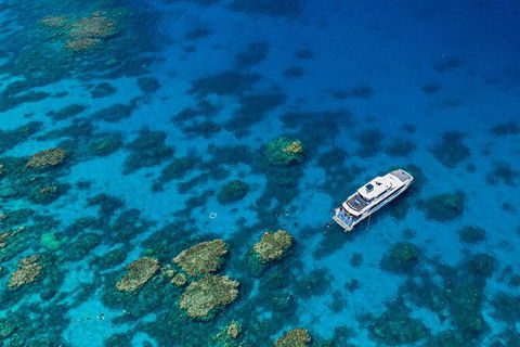 Silverswift Outer Great Barrier Reef Dive And Snorkel Cruise From Cairns - Grafton Accommodation 2