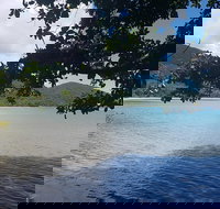 Full Day Tour in the Daintree