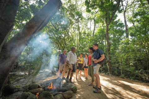 Aboriginal Cultural Daintree Rainforest Tour From Cairns Or Port Douglas - Grafton Accommodation 3