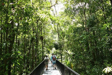 Aboriginal Cultural Daintree Rainforest Tour From Cairns Or Port Douglas - Grafton Accommodation 4