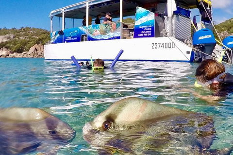 Aquascene Magnetic Island Discovery Tour - Grafton Accommodation 4